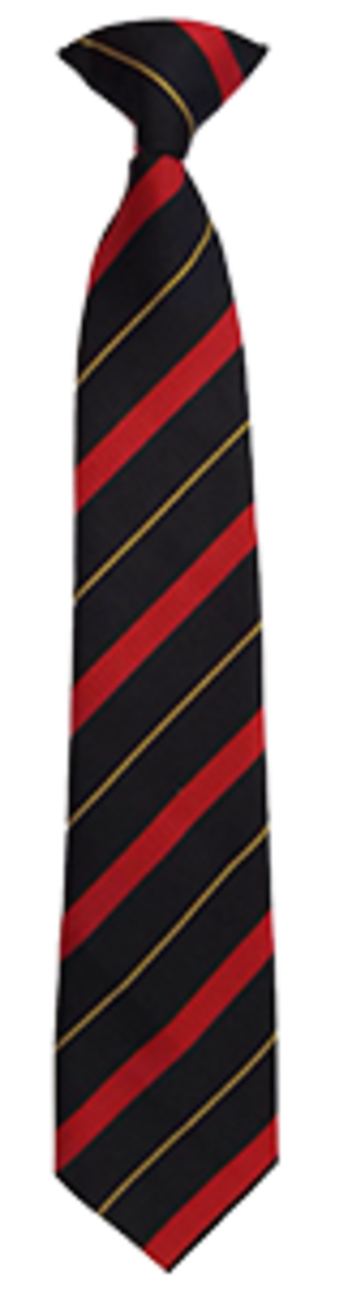 English Martyrs' Catholic School - Tie