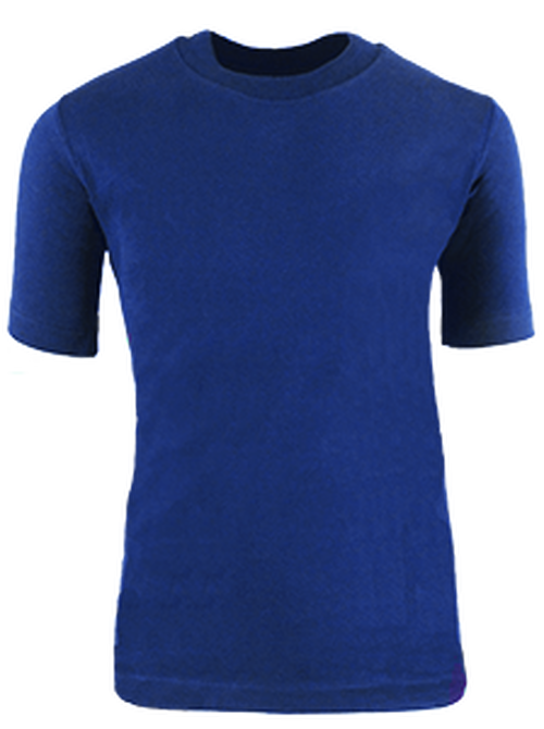 Plain Royal Blue HQ T-Shirt