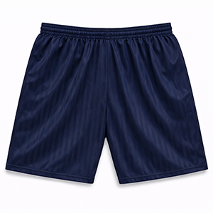 Navy (School) PE Shorts