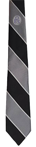 Queen Elizabeth School - SILVER Tie