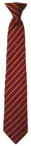 SSPP School Tie