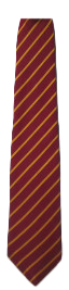 SSPP - LONG School TIE